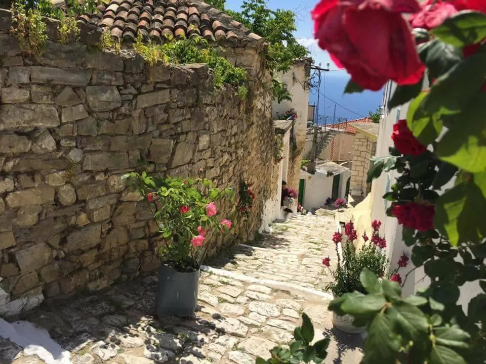 Arvi Boutique Hotel