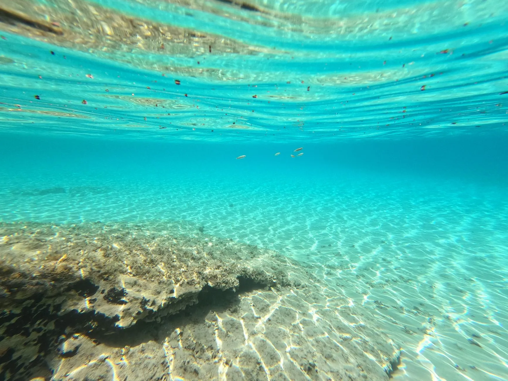 Explore the vibrant, shallow underwater world of Porto Heli with stunning turquoise waters and coral formations.