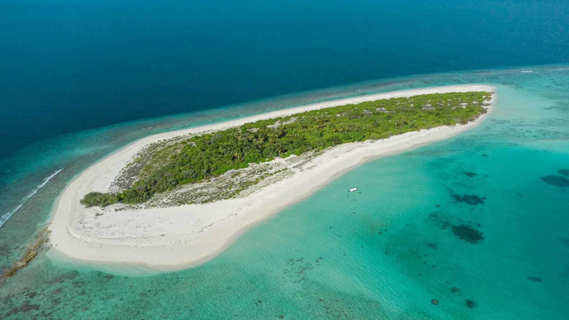 Águas turquesa e falésias na costa albanesa